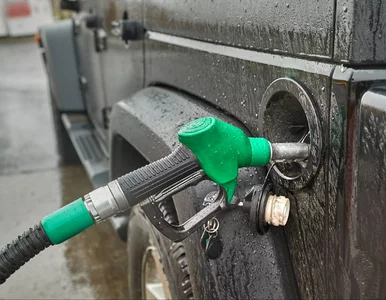 Miniatura: Kierowcy tankują paliwo „na zapas”. Za...