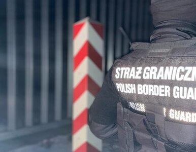 Miniatura: Migrant ukradł polskiemu żołnierzowi...
