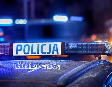 Miniatura: Wstrząsający wypadek na S17. „Z samochodu...