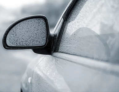 Miniatura: Ten typ aut pokochali Polacy. Imponujący...