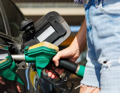 Miniatura: Ceny paliw wreszcie spadną? Znamy...