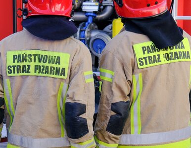 Miniatura: Wybuch gazu w Czechowicach-Dziedzicach....