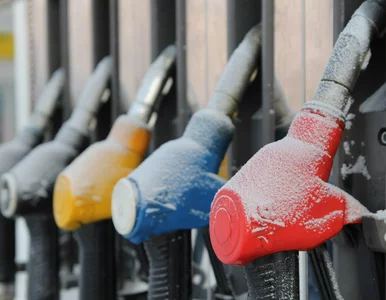 Miniatura: Zmiany na stacjach od 1 grudnia. Tyle...