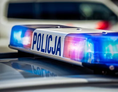 Miniatura: GDDKiA przestrzega kierowców przed tą...