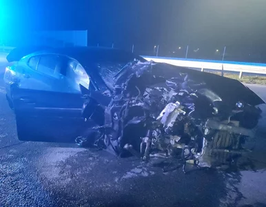 Miniatura: Głośny wypadek na A1. Oskarżony zarzucił...