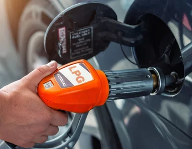 Miniatura: Koniec rosyjskiego gazu w Polsce. Czeka...