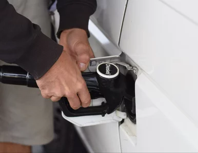 Miniatura: Diesel przekroczył 9 zł/l. W tych...