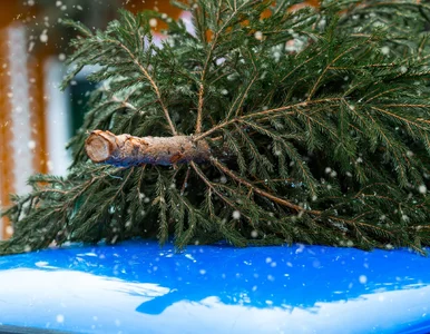 Miniatura: Kierowcy dostaną prezent pod choinkę?...