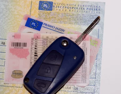 Miniatura: Starsi kierowcy na celowniku UE. Zmieniają...