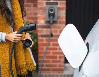 Miniatura: Złodzieje nie oszczędzają nawet...