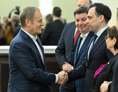 Miniatura: Polski nie stać na kolejny CPN? Domański...