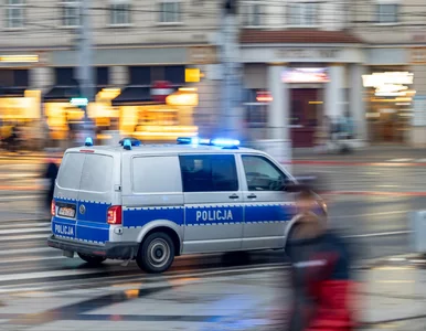 Miniatura: Pijany nastolatek z Mołdawii staranował 6...