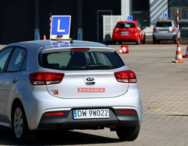 Miniatura: Rewolucja w egzaminach na prawo jazdy....